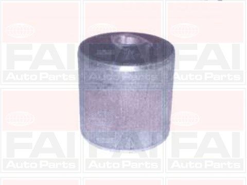 FAI AUTOPARTS Puks SS4620